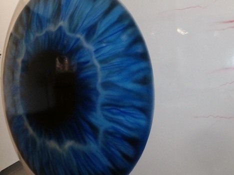 Ziegler creates impressive eye model for the university clinic